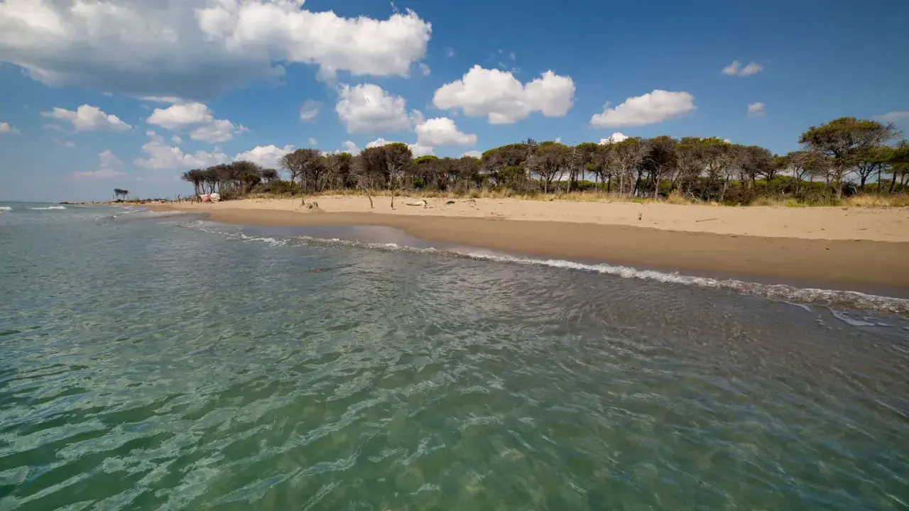 Spiaggia dorata e pineta rigogliosa bagnate da un mare cristallino toscana. Nuvole bianche nel cielo azzurro.