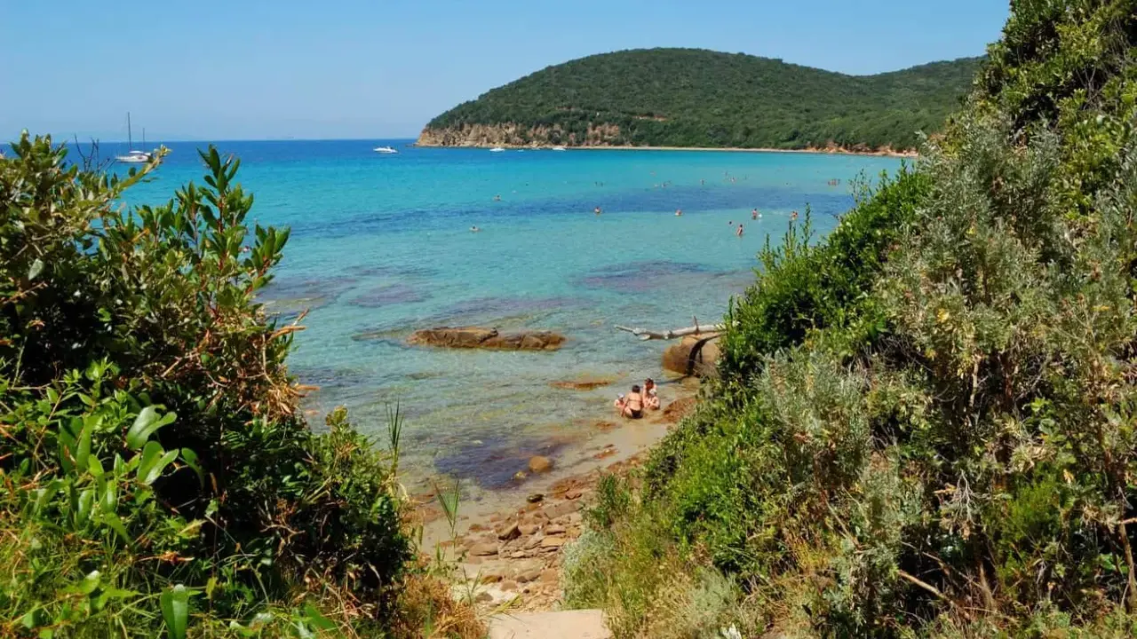 Spiaggia incantevole, una località balneare in provincia di Grosseto, con acque cristalline e vegetazione mediterranea.