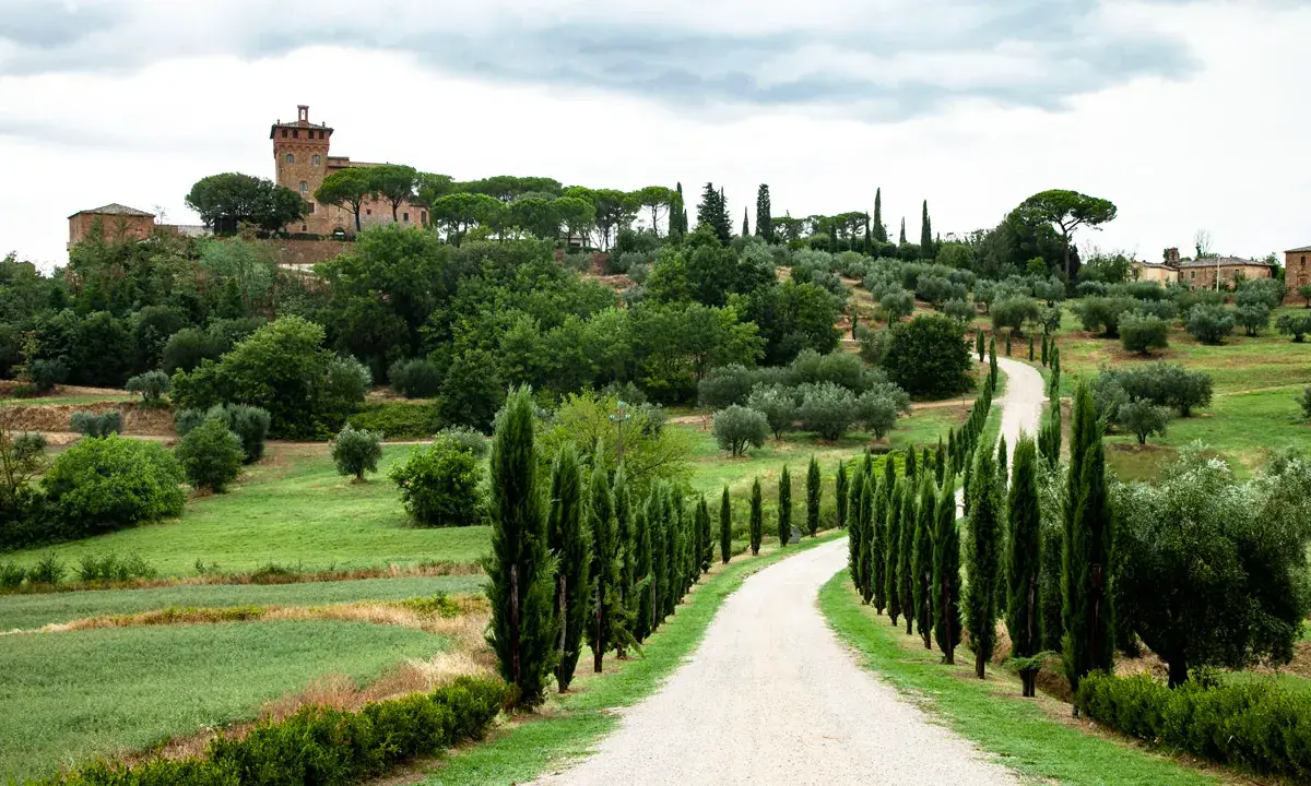 Un suggestivo itinerario Val d'Orcia 2 giorni: strada bianca tra cipressi e colline verdi, con un borgo in lontananza.