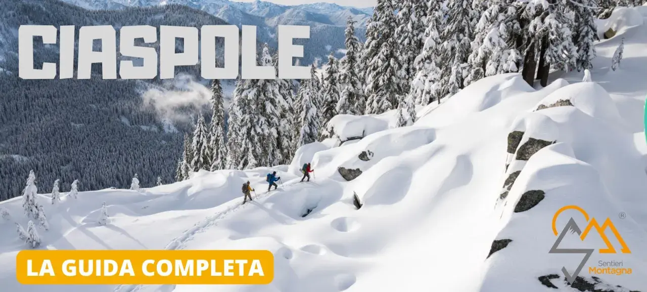 Tre escursionisti affrontano una ciaspolata sulla neve in un paesaggio montano innevato, con alberi coperti di bianco e cime sullo sfondo.