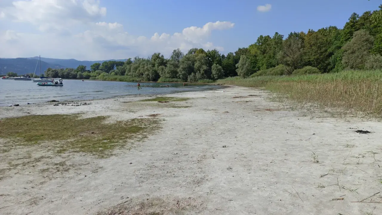 Spiaggia sabbiosa al lido di Lisanza, con barche a vela e persone che nuotano in un lago circondato da alberi.