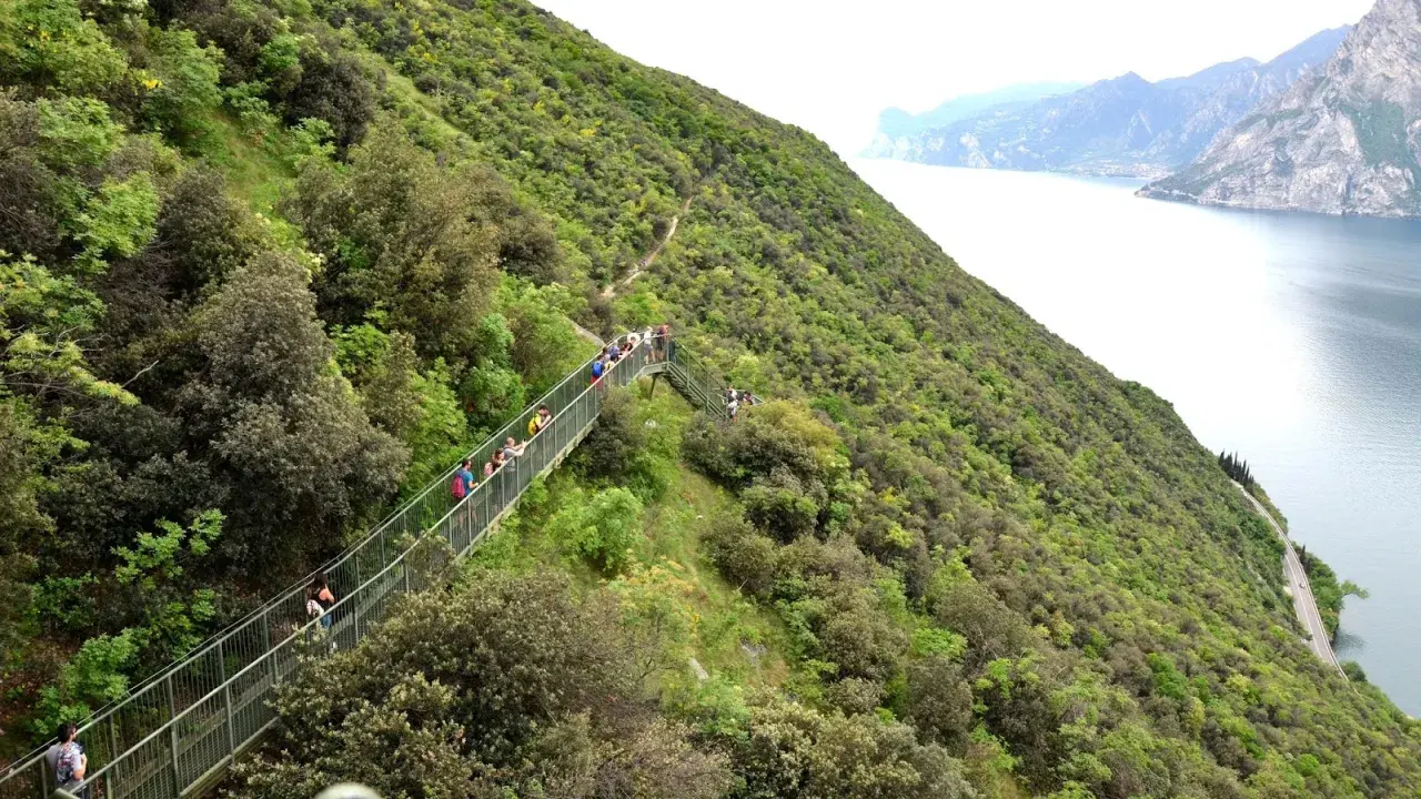 Sentiero panoramico con passerella in Trentino, ideale per passeggiate facili con vista lago.