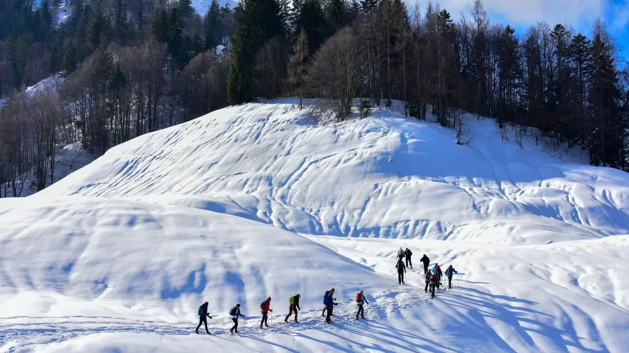 Un gruppo di escursionisti fa **passeggiate sulla neve** in un paesaggio montano innevato, con alberi scuri sullo sfondo.