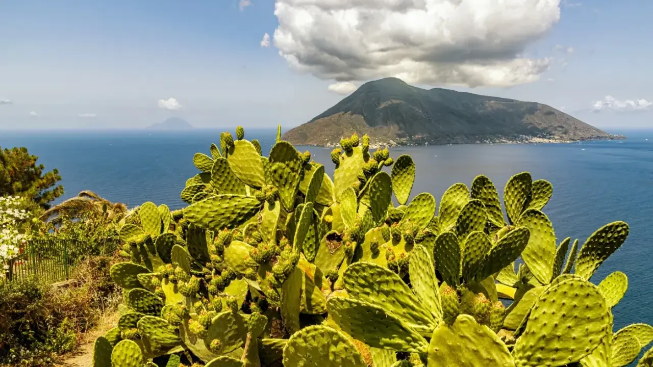 Fico d'India rigoglioso domina la scena, con il mare blu e un vulcano sullo sfondo, un'immagine perfetta per le vacanze isole della Sicilia.