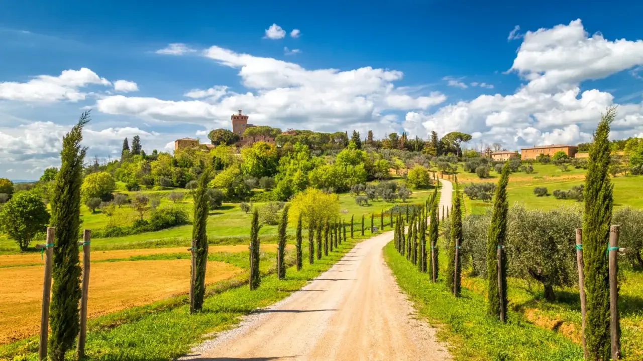 Strada sterrata tra cipressi e ulivi, con un borgo in collina. Perfetto per scoprire cosa visitare in Toscana in 1 giorno.