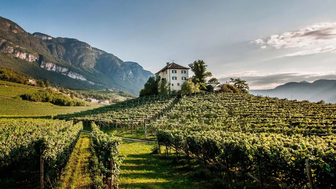 Vigneti rigogliosi su dolci colline, una casa isolata in cima. Perfetto per un tour enogastronomico Toscana.