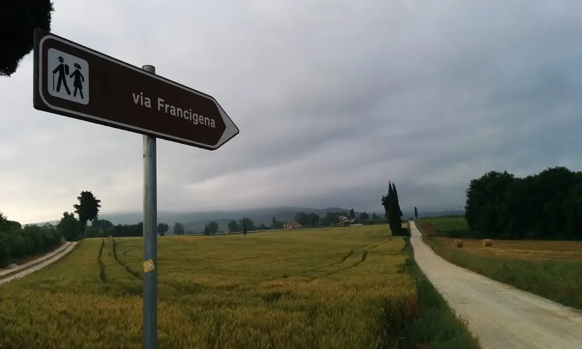 Segnale della Via Francigena indica il cammino attraverso campi dorati e un viale di cipressi sotto un cielo nuvoloso.