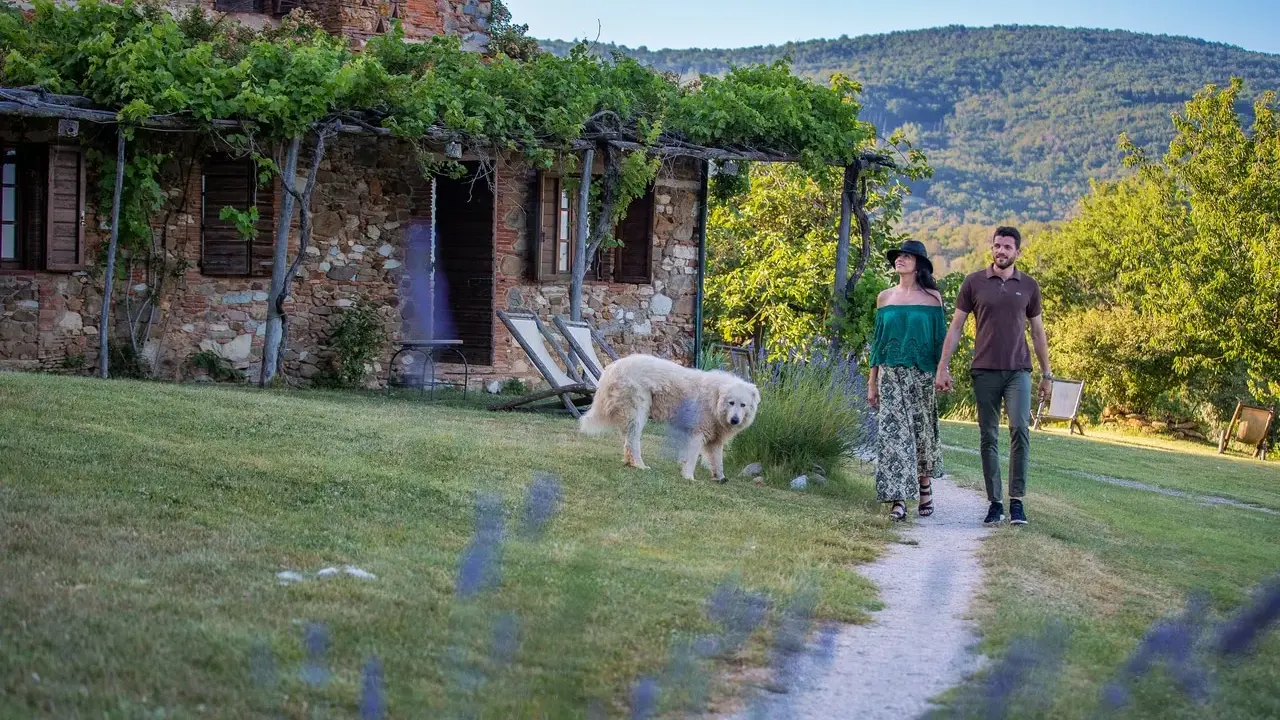 Coppia passeggia con cane in un casale in pietra, tra viti e colline. Sassetta cosa vedere: un luogo da sogno.