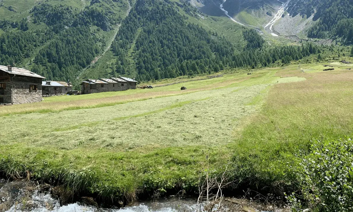Case in pietra nel **Val di Rezzalo**, prati falciati e un ruscello che scorre ai piedi di montagne verdi e rocciose.