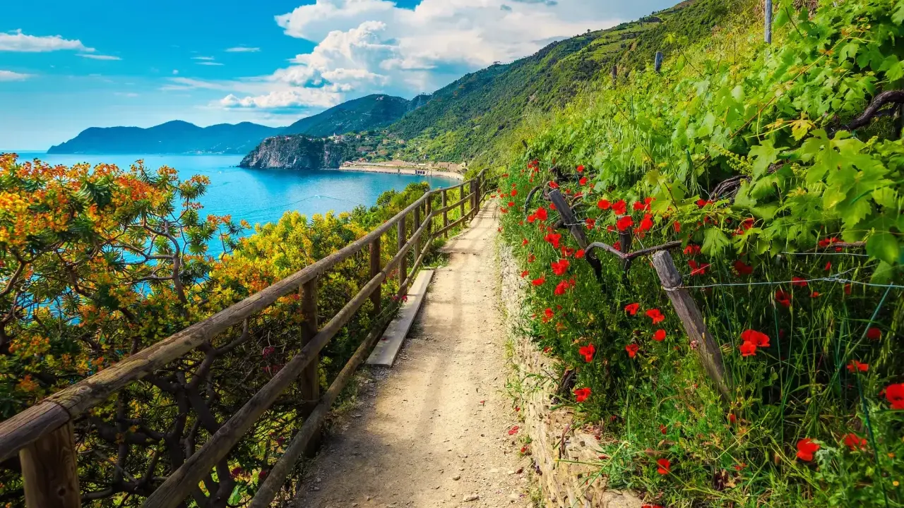 Sentiero fiorito con papaveri rossi e vista sul mare, ideale per un'escursione alle Cinque Terre.