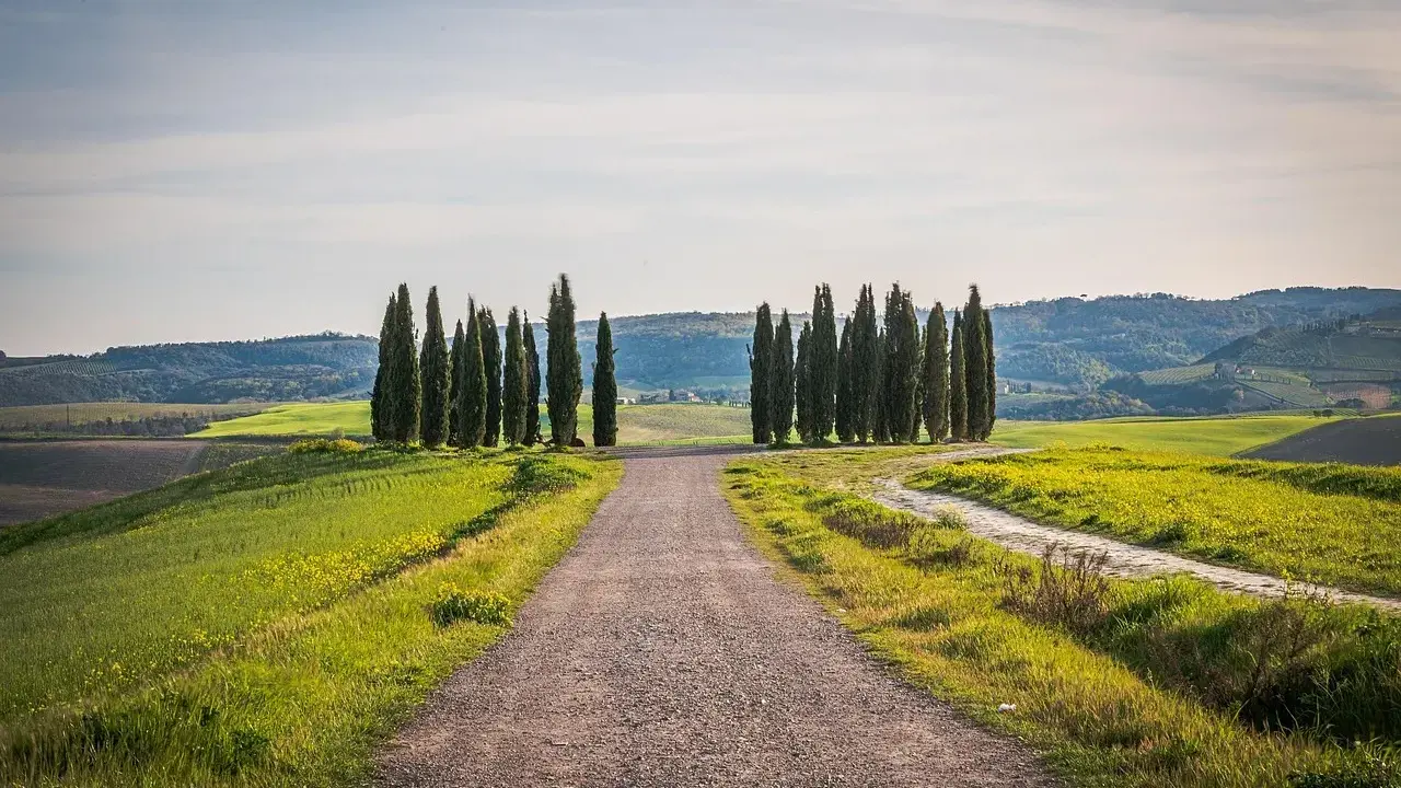 Strada sterrata tra colline verdi e cipressi, ideale per un itinerario borghi toscana 3 giorni.
