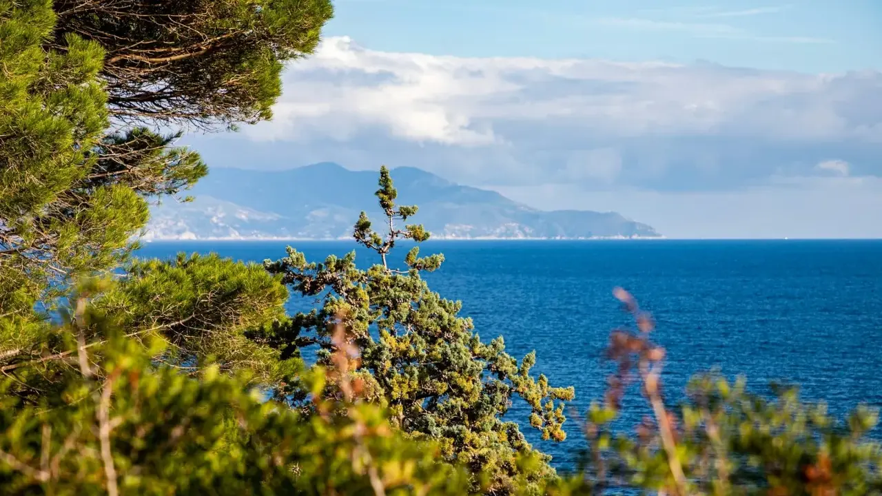 Verdeggiante vegetazione mediterranea incornicia un mare blu intenso, con una sagoma montuosa all'orizzonte, forse un'isola vicino all'Elba.