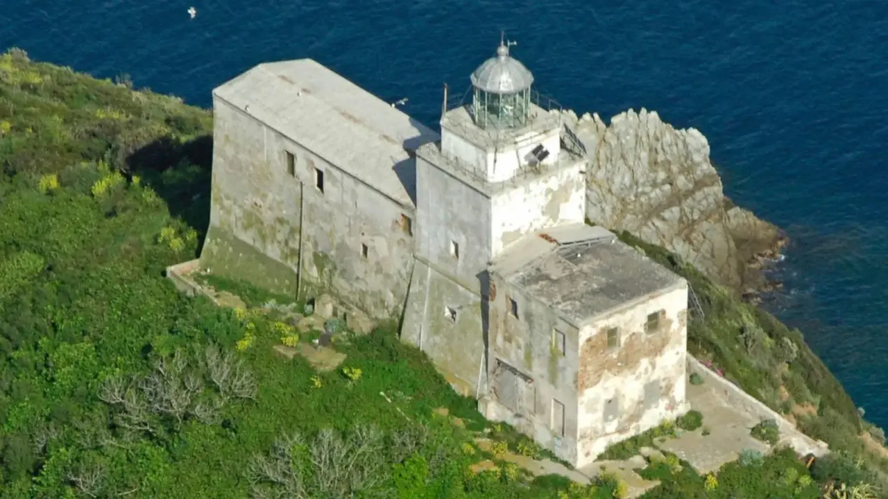 Faro abbandonato sull'isola di Palmaiola, con edifici in rovina e vegetazione rigogliosa che abbraccia la costa rocciosa.