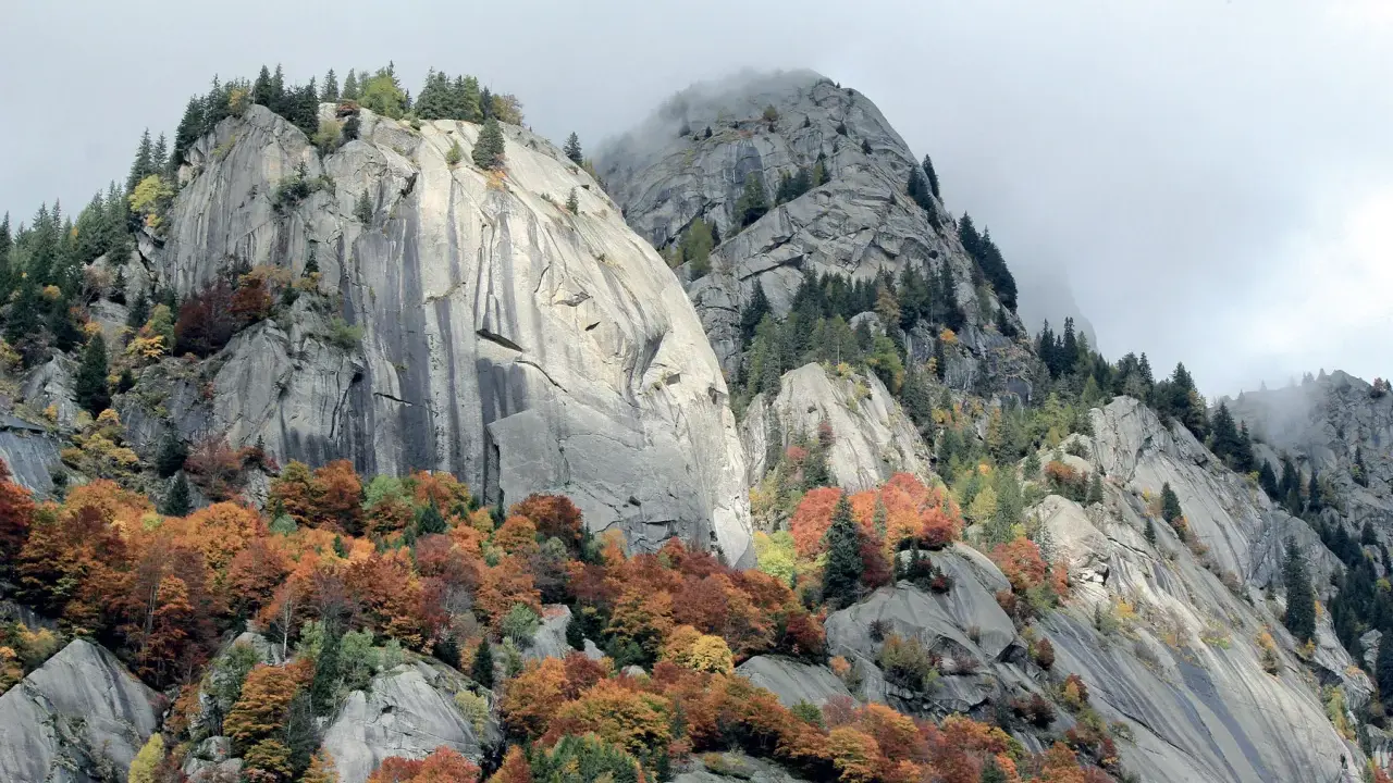 Val di Mello: maestose rocce grigie e boschi autunnali dai colori caldi, un paesaggio mozzafiato da scoprire.