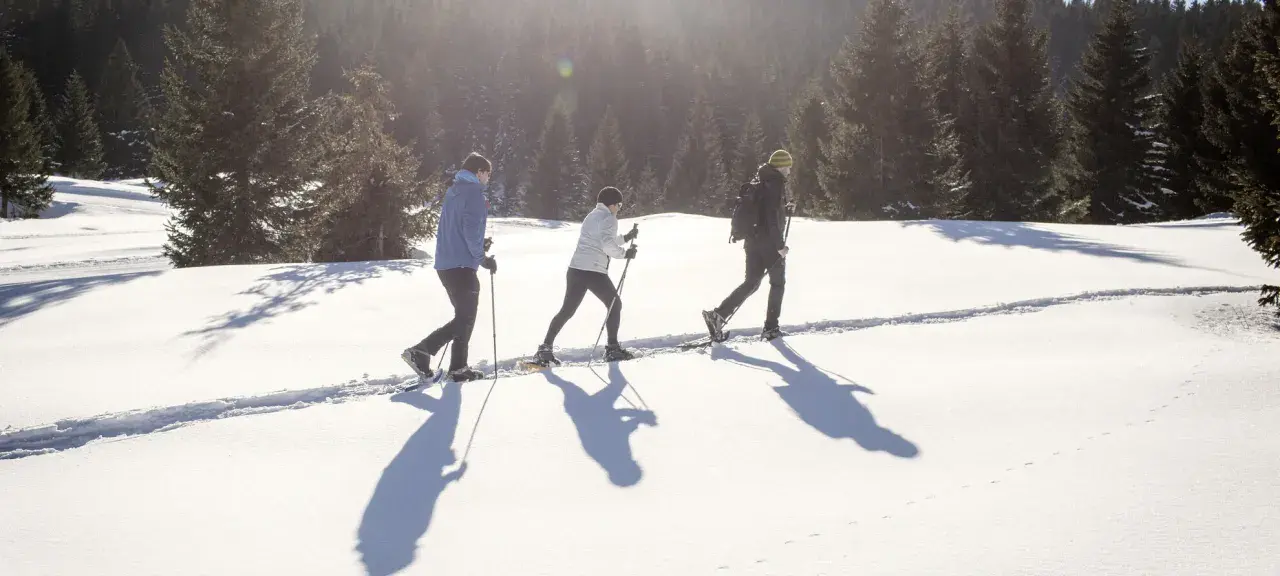 Tre persone camminano con le ciaspole su un sentiero innevato, godendosi le escursioni invernali in Trentino.