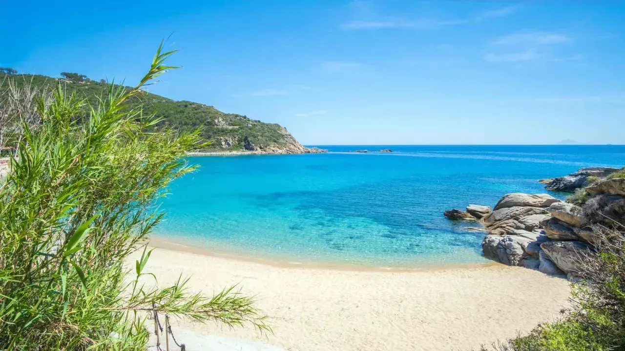 Spiaggia incantevole con sabbia bianca toscana, acque cristalline e vegetazione rigogliosa.