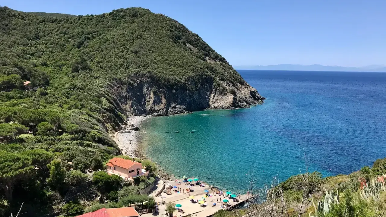 Una baia incantevole all'isola d'Elba, con acque cristalline, una spiaggia di ciottoli e case colorate immerse nel verde.