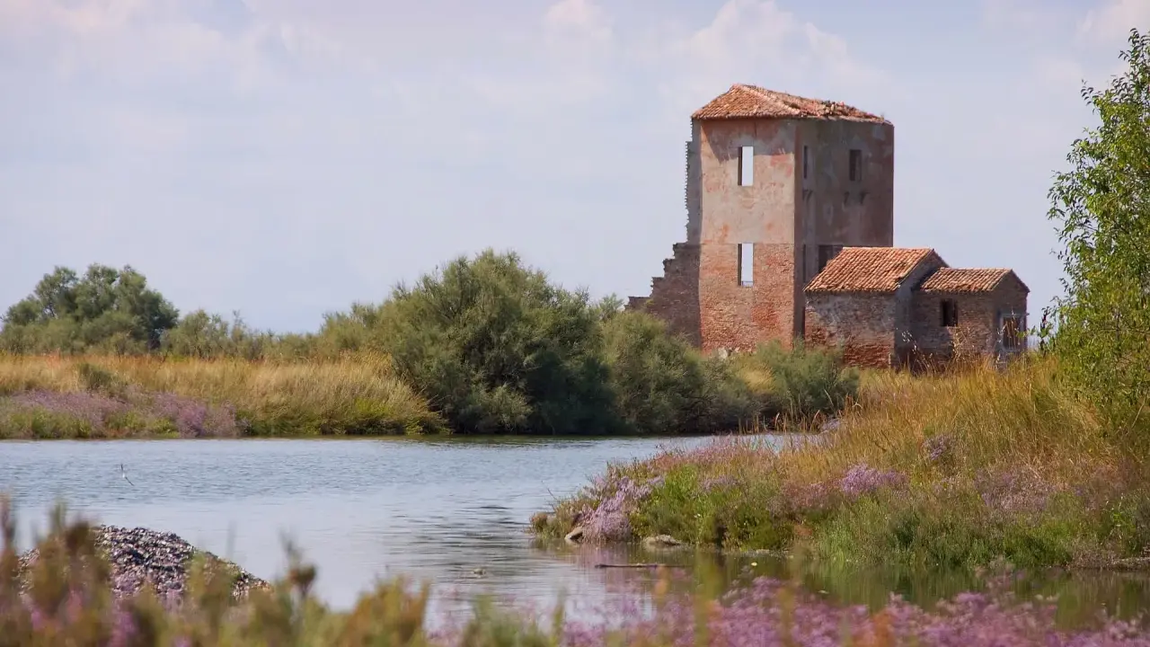Rovine di un antico casale tra canneti e fiori viola, un paesaggio suggestivo che ricorda i paesi belli vicino a Ferrara.