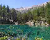 Un incantevole lago vicino Torino, con acque cristalline che rivelano tronchi sommersi. Le montagne e i pini creano uno scenario alpino mozzafiato.