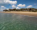 Spiaggia dorata e pineta rigogliosa bagnate da un mare cristallino toscana. Nuvole bianche nel cielo azzurro.