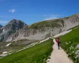 Escursionista sul cammino del Gran Sasso, tra prati verdi e fiori viola, con imponenti montagne sullo sfondo.