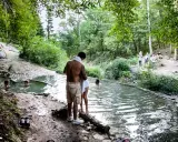 Persone si rilassano nelle acque termali dei Bagni di San Filippo, immersi nel verde di un bosco.