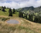 Un laghetto alpino circondato da erba dorata e abeti, ideale per le tue passeggiate in Veneto.