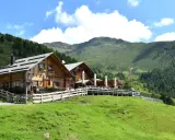 Malga Alto Adige, un rifugio in legno con tavoli all'aperto, circondato da verdi pendii e montagne boscose sotto un cielo azzurro con nuvole bianche.