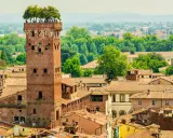 Torre Guinigi con alberi in cima, un'icona di Lucca. Perfetta per scoprire cosa vedere a Lucca in 2 giorni, con vista sui tetti e il verde della città.