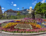 Un tripudio di fiori colorati in un parco di Merano, ideale per scoprire cosa vedere a Merano in un giorno.
