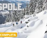 Tre escursionisti affrontano una ciaspolata sulla neve in un paesaggio montano innevato, con alberi coperti di bianco e cime sullo sfondo.