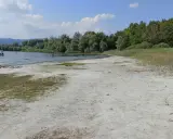 Spiaggia sabbiosa al lido di Lisanza, con barche a vela e persone che nuotano in un lago circondato da alberi.