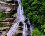 Cascate del Casentino: un velo d'acqua scende su rocce stratificate, circondato da una lussureggiante vegetazione verde.