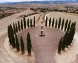 Un'installazione artistica tra cipressi, un assaggio di cosa vedere a Siena e dintorni in 3 giorni.