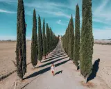 Viale di cipressi nel Val d'Orcia, un'icona da vedere in 3 giorni. Una donna cammina lungo la strada sterrata.