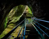 Una scala metallica sale tra le rocce muschiose degli orridi di Uriezzo, illuminata da una luce che filtra dall'alto.