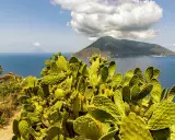 Fico d'India rigoglioso domina la scena, con il mare blu e un vulcano sullo sfondo, un'immagine perfetta per le vacanze isole della Sicilia.