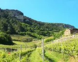 Vigneti terrazzati nel Val di Cembra, con un antico casale in pietra e una montagna boscosa sullo sfondo.