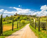Strada sterrata tra cipressi e ulivi, con un borgo in collina. Perfetto per scoprire cosa visitare in Toscana in 1 giorno.