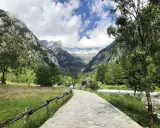 Sentiero in Val Masino, tra prati fioriti e montagne imponenti. Cosa vedere? Natura incontaminata e panorami mozzafiato.