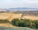 Colline dorate e cipressi iconici nel Val d'Orcia, con un borgo in lontananza. Un paesaggio da cartolina.