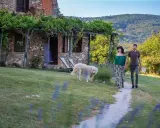 Coppia passeggia con cane in un casale in pietra, tra viti e colline. Sassetta cosa vedere: un luogo da sogno.