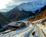 Un cane nero cammina su una strada innevata in Val di Fosse, vicino a un rifugio alpino con tetto coperto di neve. Montagne imponenti sullo sfondo.