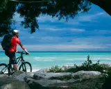 Ciclista ammira il mare turchese lungo la ciclovia adriatica in Abruzzo, con alberi che incorniciano la scena.