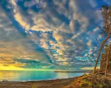 Tramonto su una spiaggia toscana, con pini marittimi e un mare calmo. Un'immagine perfetta per scoprire località mare toscana economiche.