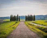 Strada sterrata tra colline verdi e cipressi, ideale per un itinerario borghi toscana 3 giorni.