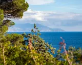 Verdeggiante vegetazione mediterranea incornicia un mare blu intenso, con una sagoma montuosa all'orizzonte, forse un'isola vicino all'Elba.