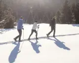 Tre persone camminano con le ciaspole su un sentiero innevato, godendosi le escursioni invernali in Trentino.
