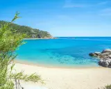Spiaggia incantevole con sabbia bianca toscana, acque cristalline e vegetazione rigogliosa.