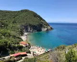 Una baia incantevole all'isola d'Elba, con acque cristalline, una spiaggia di ciottoli e case colorate immerse nel verde.
